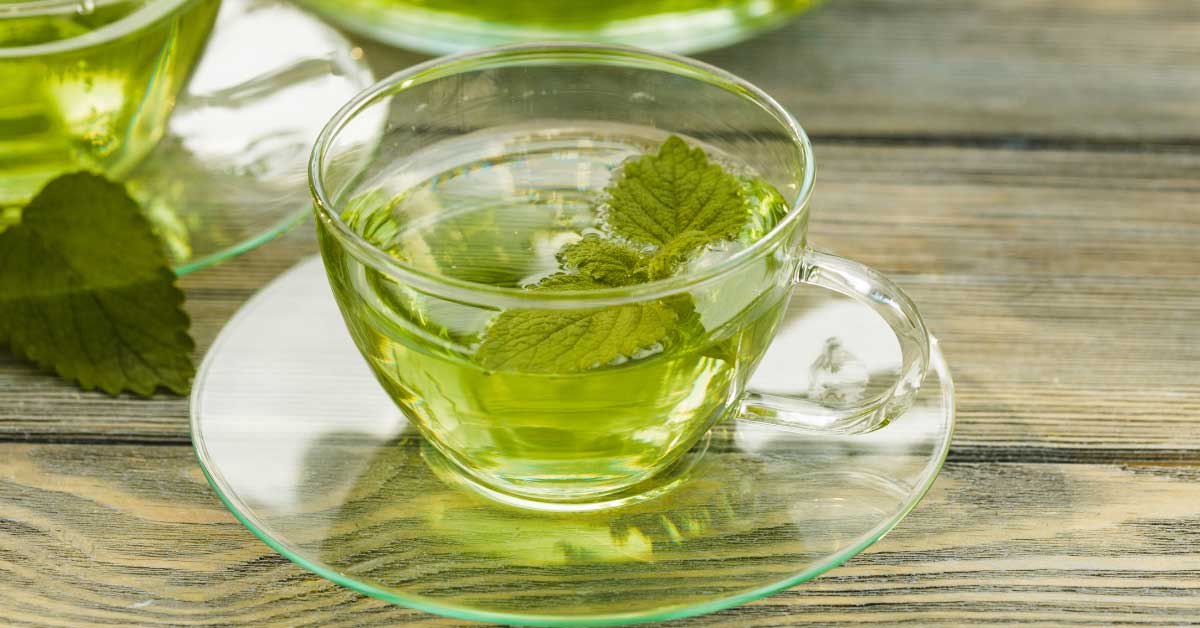 Suomintorvi: vuosisatojen perinteillä varustettu ruoansulatusta edistävä yrttijuoma