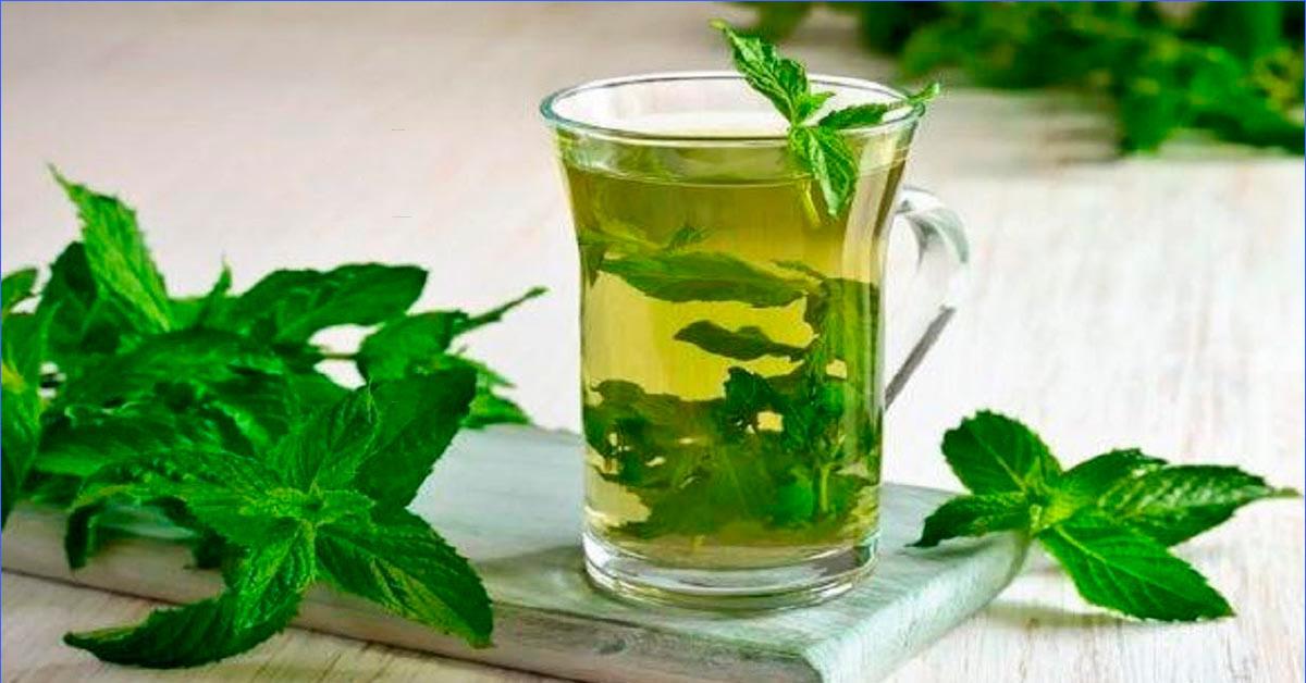 Suomintorvi: vuosisatojen perinteillä varustettu ruoansulatusta edistävä yrttijuoma