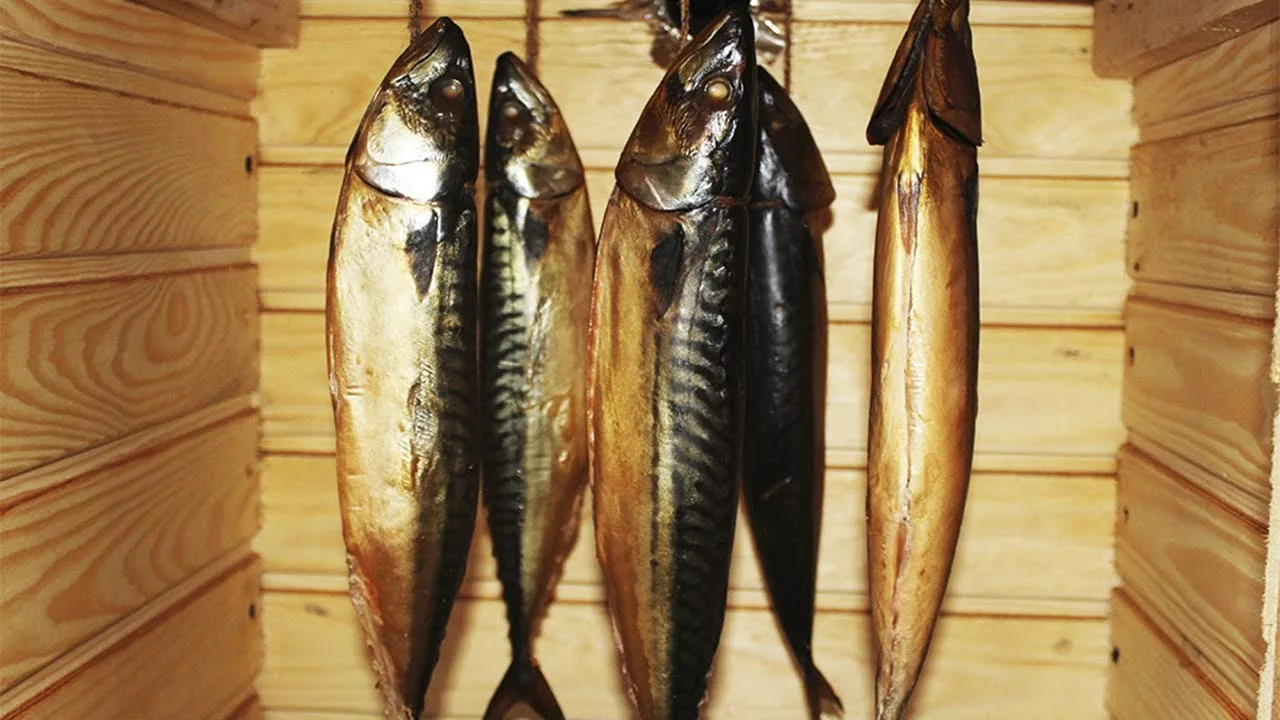 Valmista savustettu makrilli pullossa vain 2 tunnissa: avotulen tuoksu – ilman savua ja savustinta