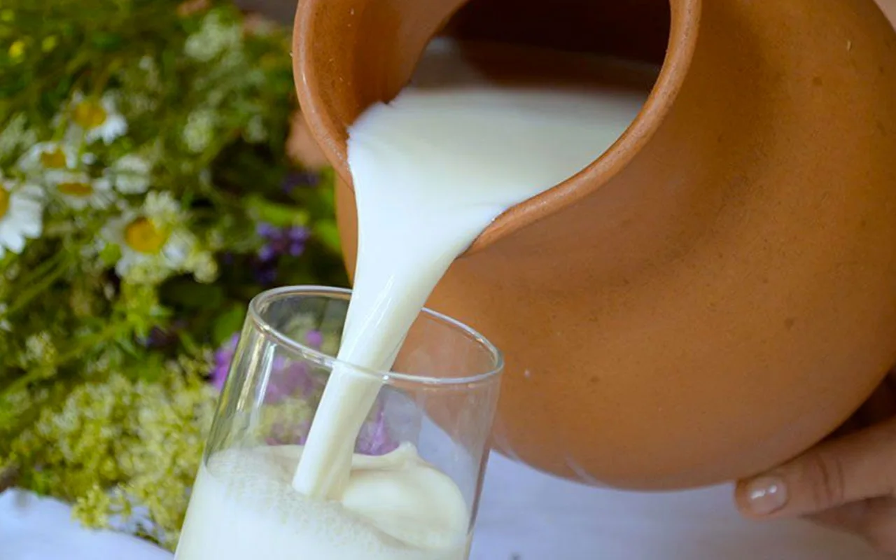 Kotitekoinen paistettu maito, helppo ja nopea perinteinen resepti suomalaisimmalle jälkiruoalle.