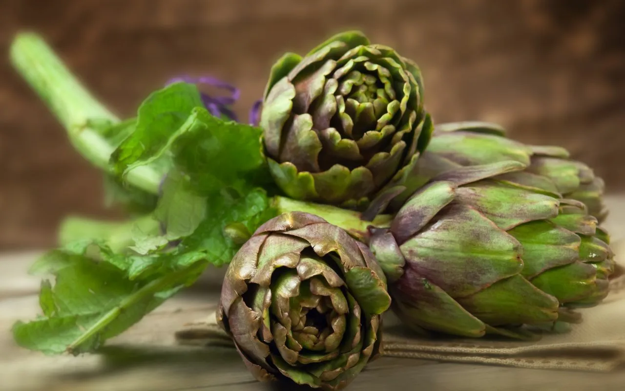 Viikon resepti: artisokat ja simpukat, herkullinen ja terveellinen kausiruoka.