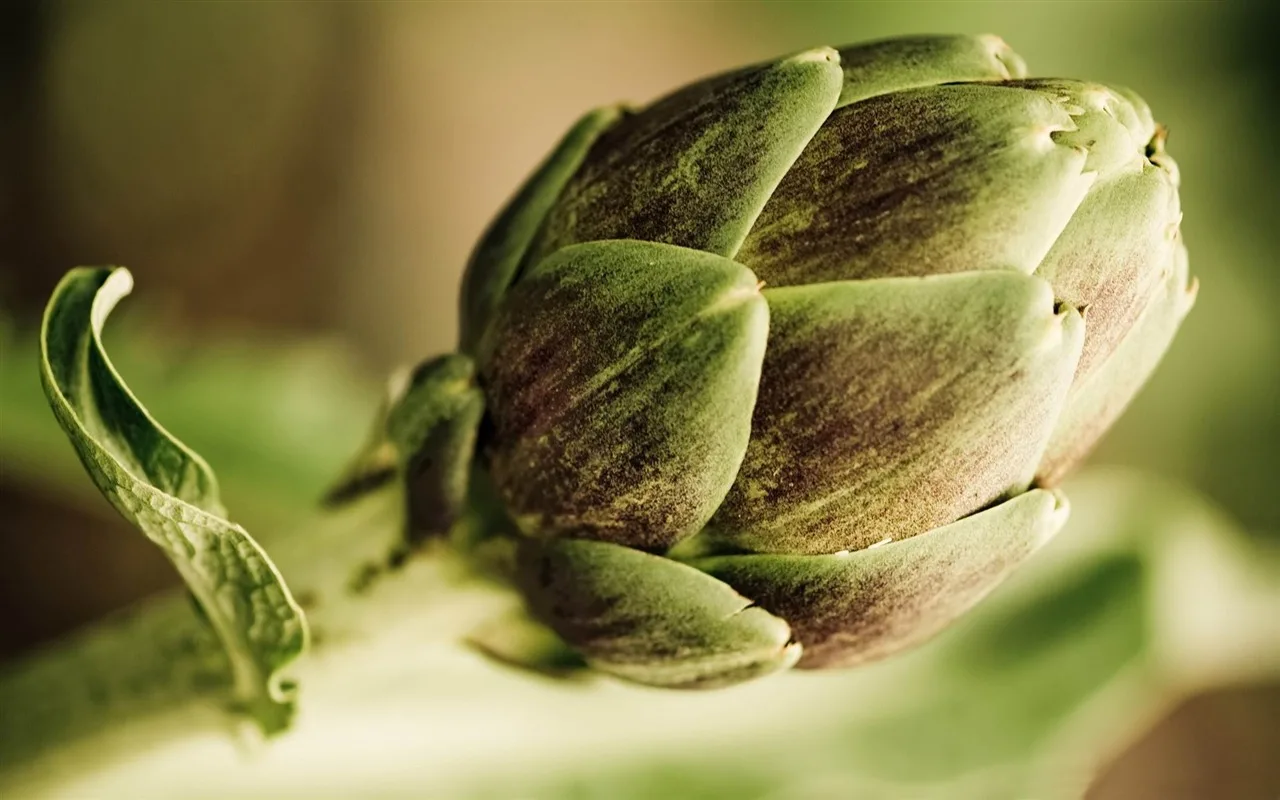 Viikon resepti: artisokat ja simpukat, herkullinen ja terveellinen kausiruoka.