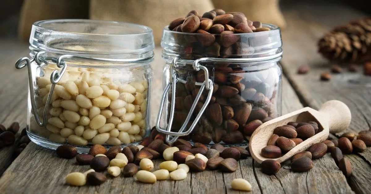 Kuinka valmistaa piñon atole, erityinen juoma kylmälle vuodenaikalle