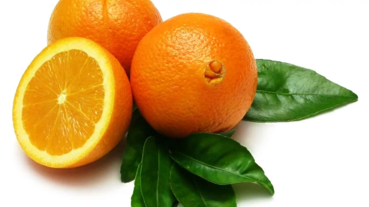 Älä heitä appelsiininsiemeniä pois, ne ovat aarre: kuinka käyttää niitä uudelleen kasveissasi.