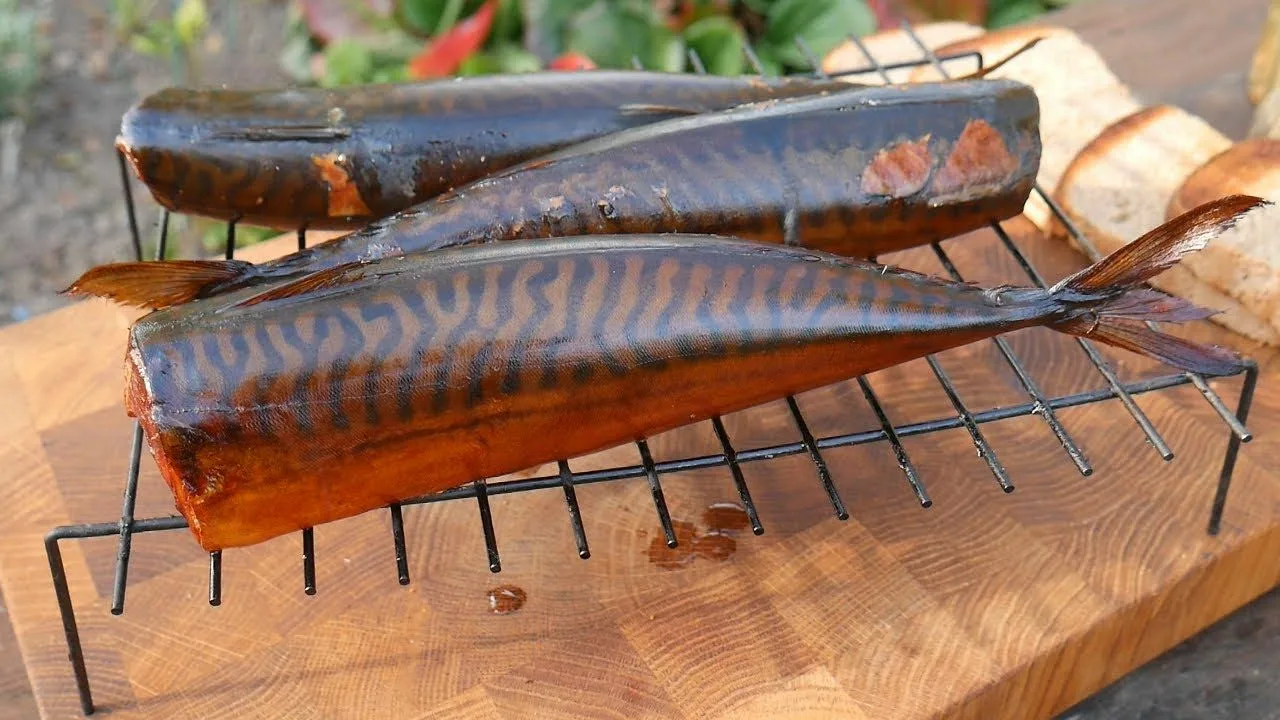 Valmista savustettu makrilli pullossa vain 2 tunnissa: avotulen tuoksu – ilman savua ja savustinta