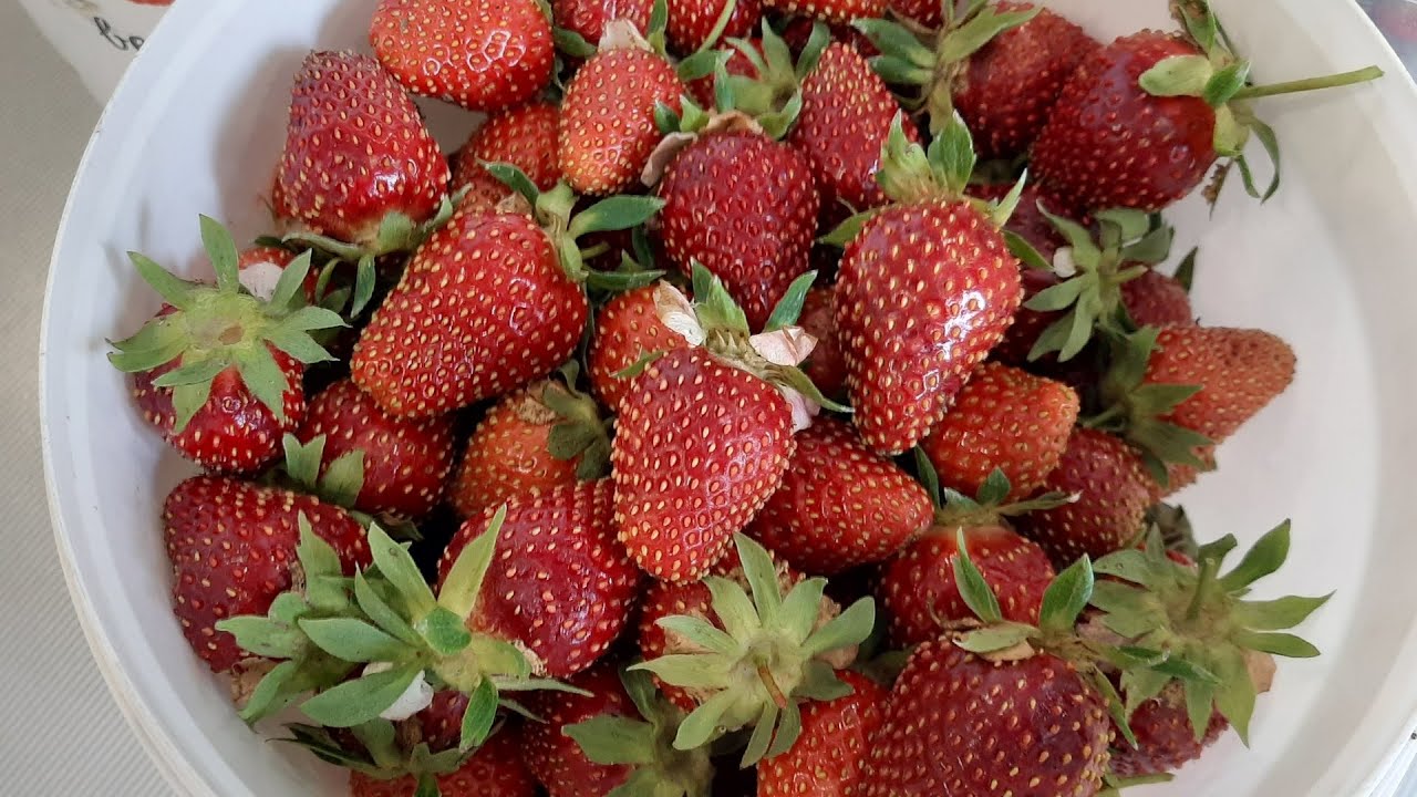 Löydä mansikka uudelleen – makea Välimeren hedelmä, joka voi sisältää alkoholia ja sopii erinomaisesti ruoanlaittoon.