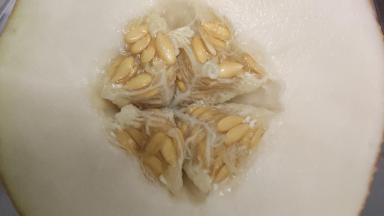 Jos sinulla on kotona melonin siemeniä, sinulla on käsissäsi todellinen aarre: mitä tehdä niillä?