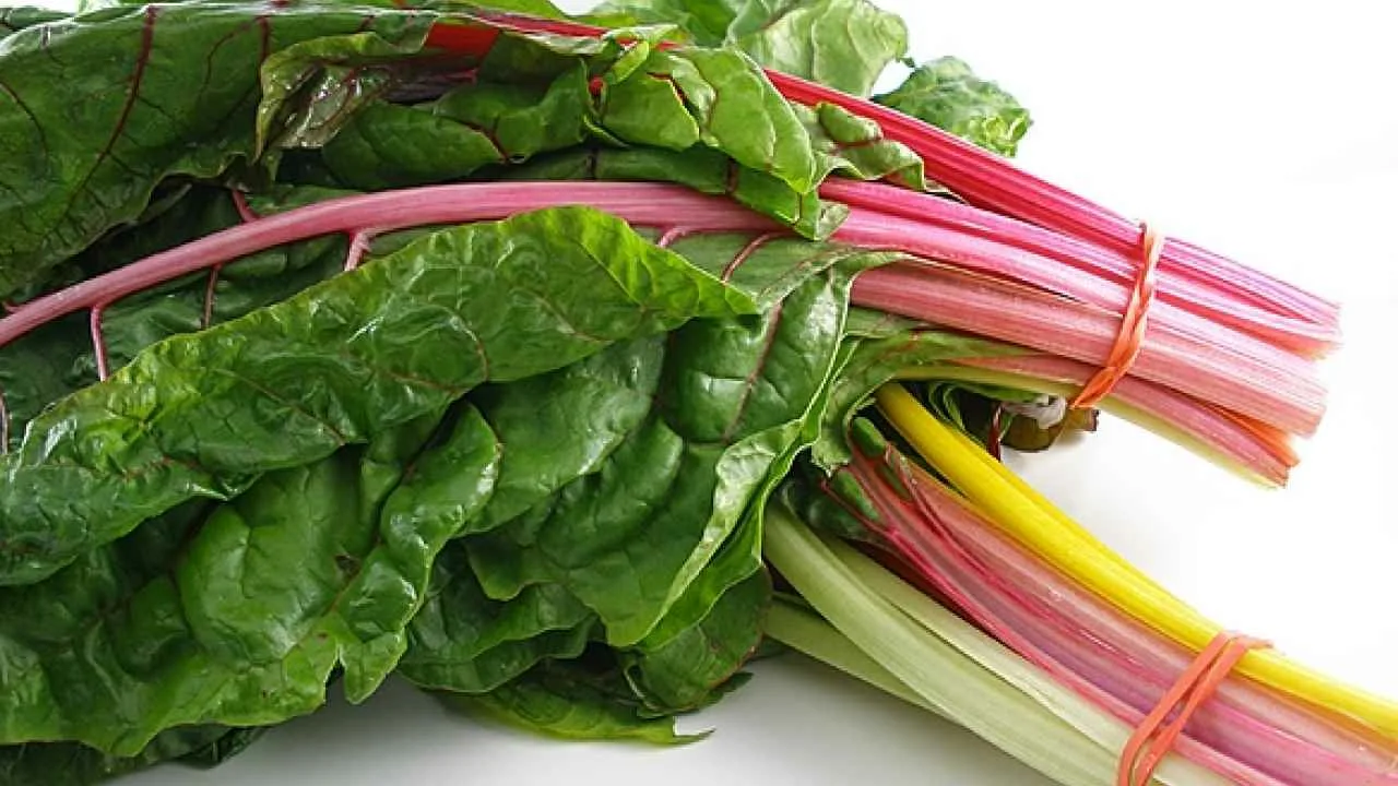 Kuinka valmistaa mangoldia terveellisellä tavalla: 12 ihanteellista reseptiä kevyeen ruokavalioon