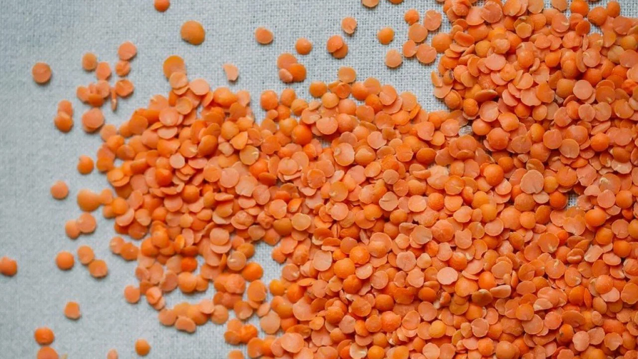 Chef Nino Redruellon herkullinen linssiresepti – talven tärkein ruokalaji.