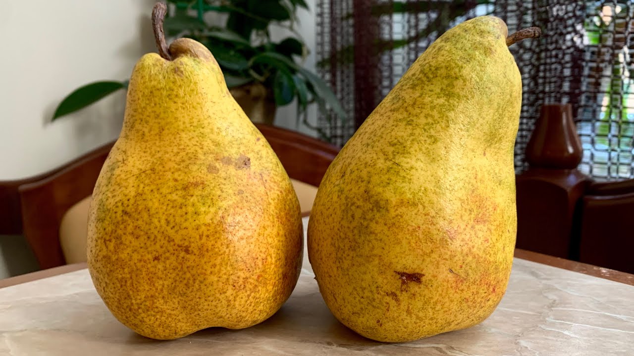 Korealaiset inkivääripäärynät – mehukkaita, sitruunasiirapissa keitettyjä ja täydellisesti jäähdytettyjä.