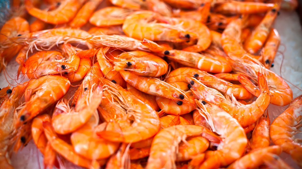 Vaikka ensi silmäyksellä ei siltä näyttäisikään, kanat ja siat eivät ole yleisimpiä tuotantoeläimiä. Yleisimpiä ovat katkaravut.