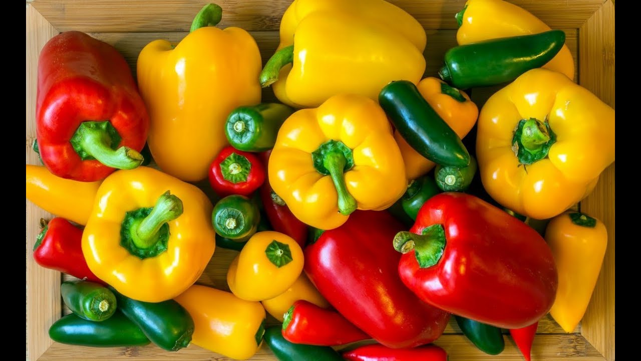 15 herkullista reseptiä, joissa käytetään paprikaa ja joiden avulla voit hyödyntää sen edullisen hinnan: täytetty, säilötty, pateena, paistettu ja muita vaihtoehtoja.