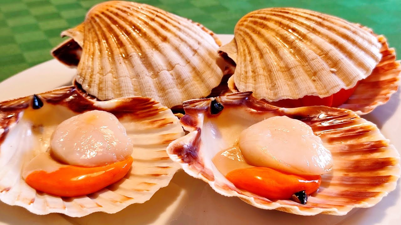 Merisimpukat, kuningassimpukat ja kuningassimpukat: kuinka tunnistaa ne helposti (ja välttää huijausta)